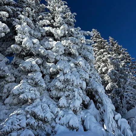 Daire N5 - De L'ours - 4 Pers *