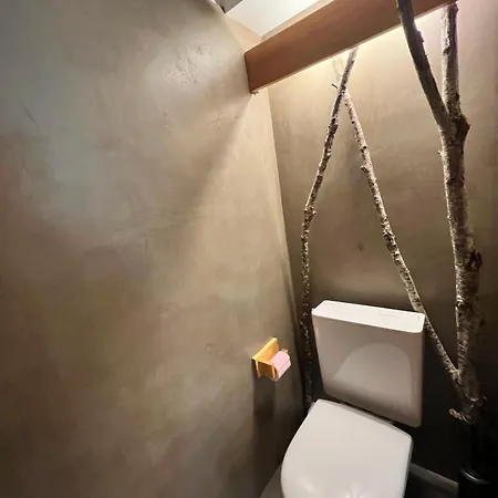 Apartament N5 - De L'ours - 4 Pers Megève