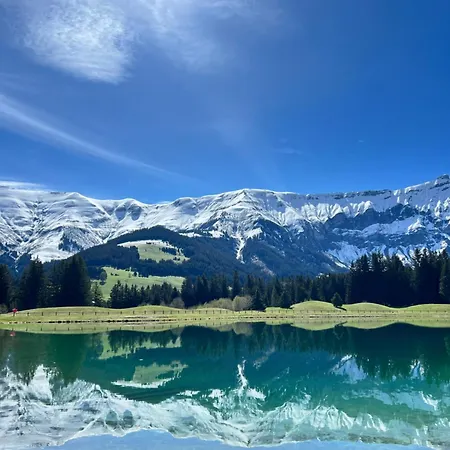 N5 - De L'ours - 4 Pers * Megève