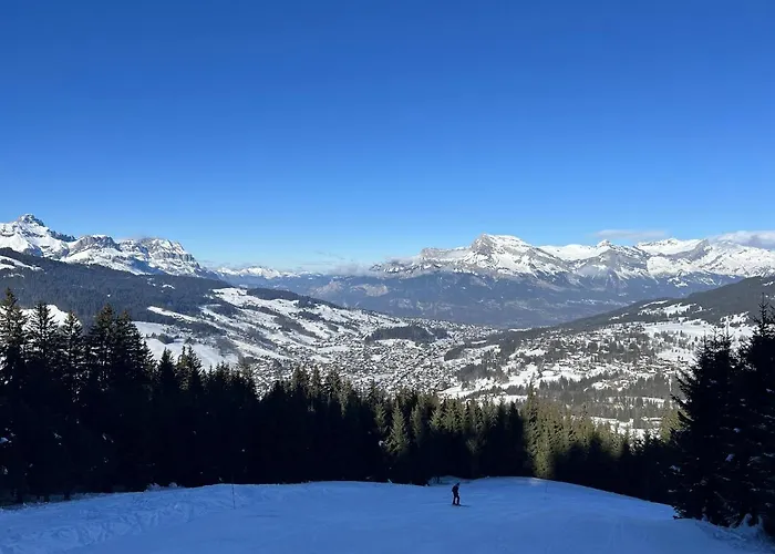 Appartement N5 - De L'ours - 4 Pers Megève