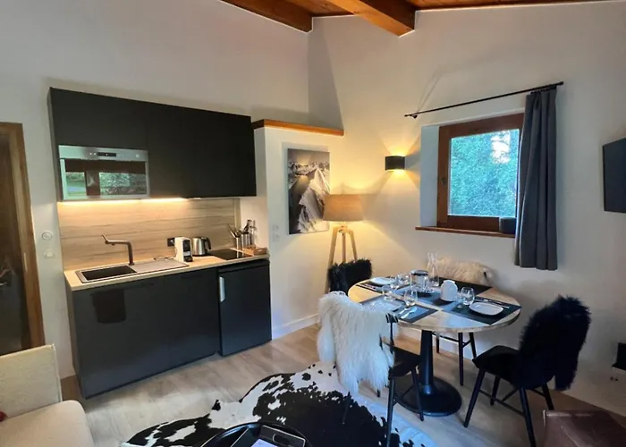 Daire N5 - De L'ours - 4 Pers Megève