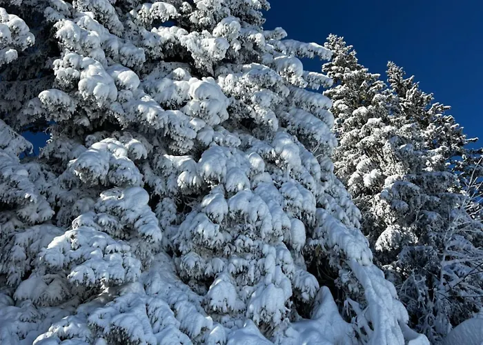 Daire N5 - De L'ours - 4 Pers *