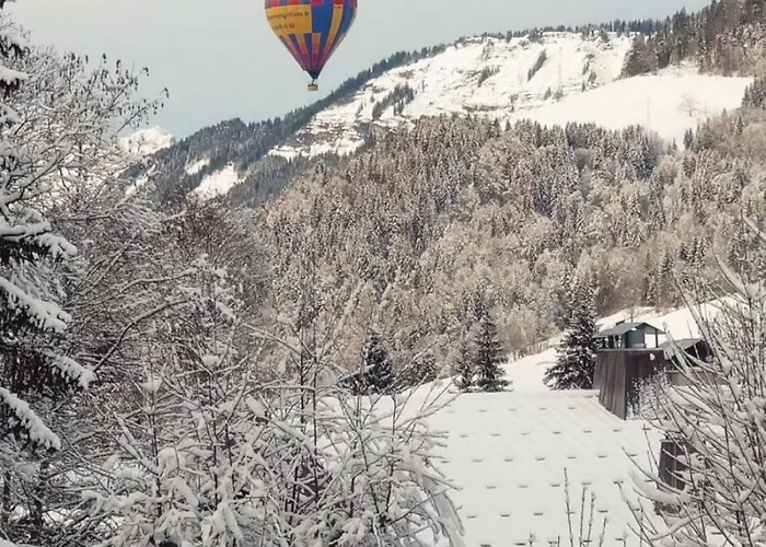 N5 - De L'ours - 4 Pers Daire Megève