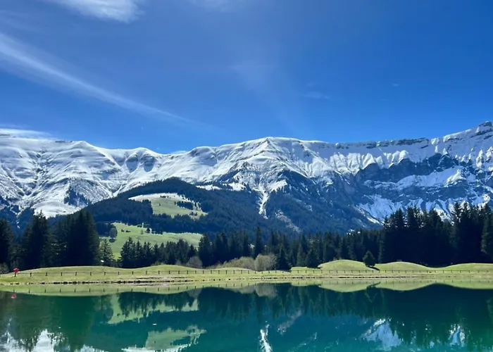 N5 - De L'ours - 4 Pers * Megève