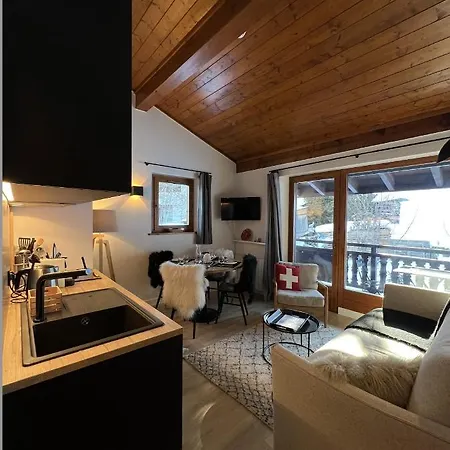 N5 - De L'ours - 4 Pers Appartement Megève