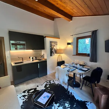 Apartmán N5 - De L'ours - 4 Pers Megève