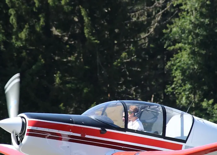 N5 - De L'ours - 4 Pers موجوف